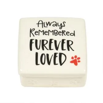 Paw Bereavement Box