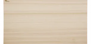 Shun Hinoki Cutting Board