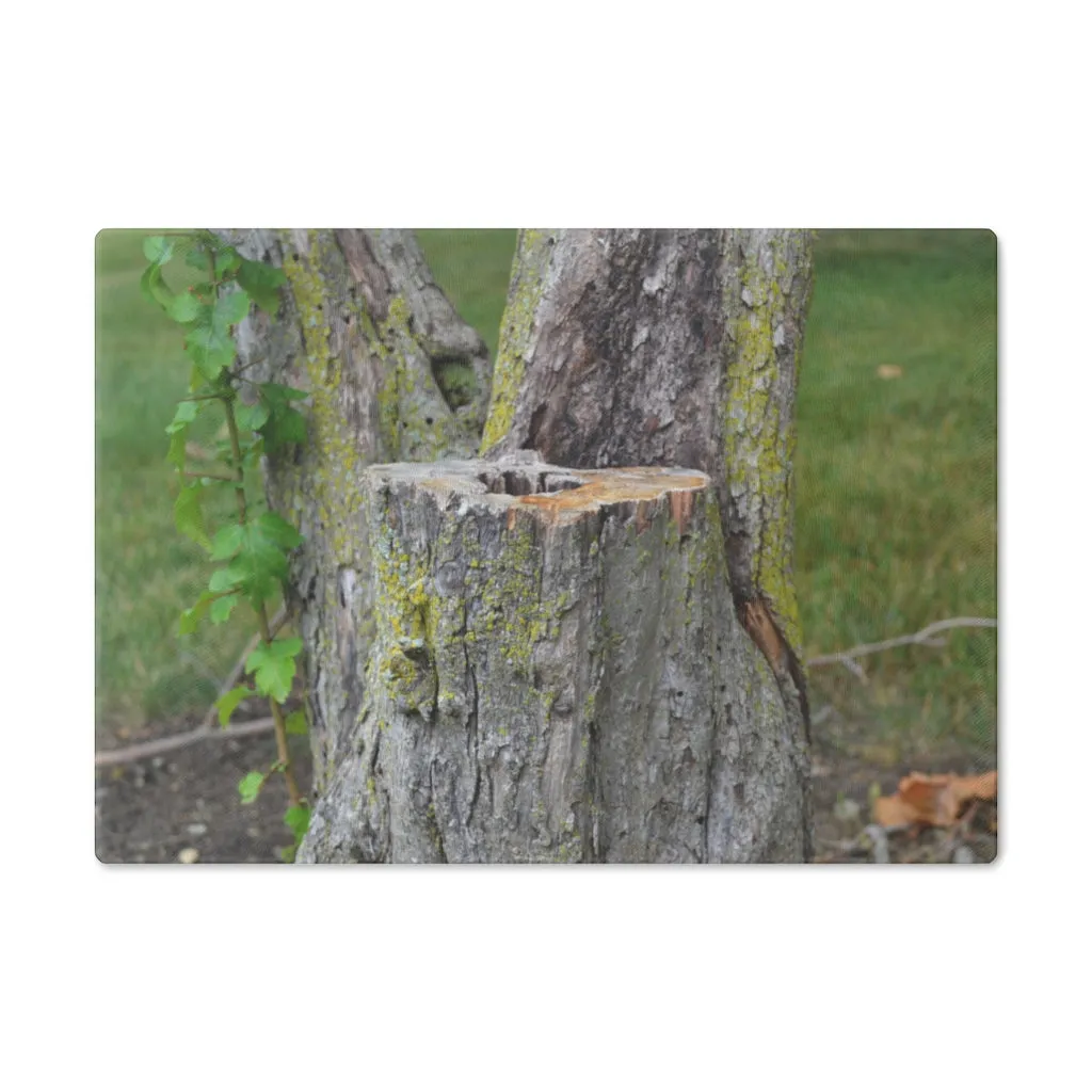 Tree Stump Cutting Board