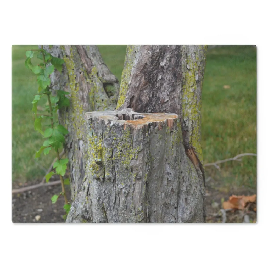 Tree Stump Cutting Board